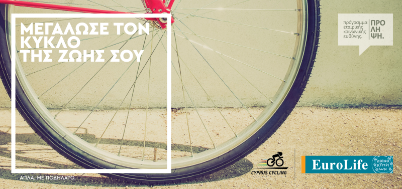 bicycle wheel